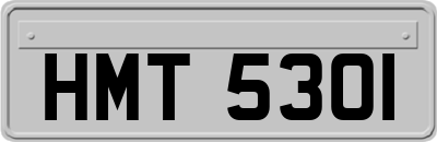 HMT5301