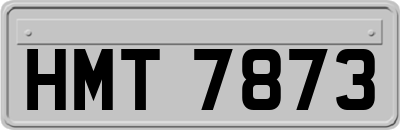 HMT7873