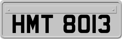HMT8013