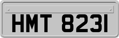 HMT8231