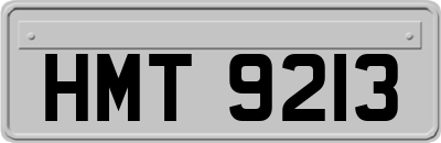 HMT9213