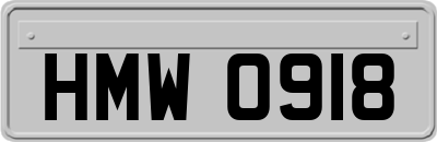 HMW0918