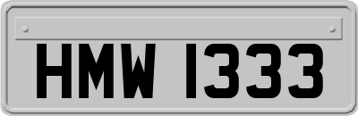 HMW1333