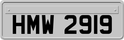 HMW2919