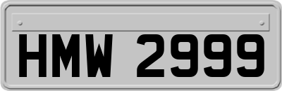 HMW2999