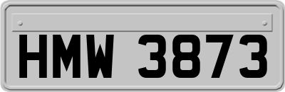 HMW3873