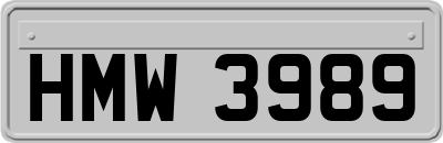 HMW3989