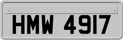 HMW4917