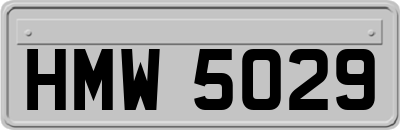 HMW5029