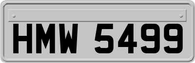 HMW5499
