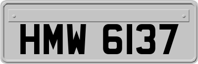 HMW6137