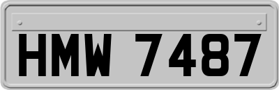 HMW7487