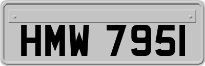 HMW7951