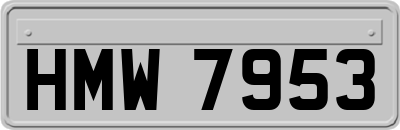 HMW7953