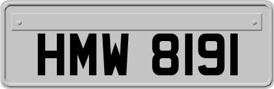 HMW8191