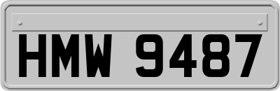 HMW9487