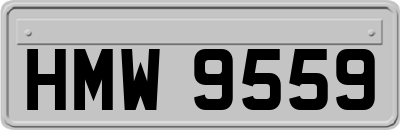 HMW9559