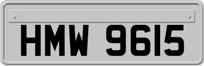HMW9615