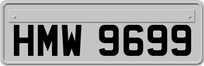 HMW9699