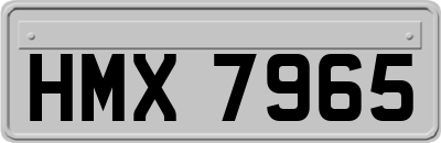 HMX7965
