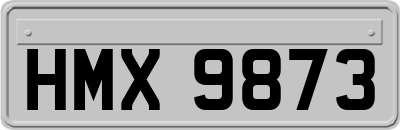 HMX9873