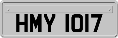 HMY1017