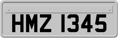 HMZ1345