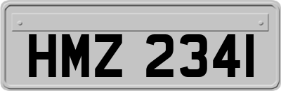HMZ2341