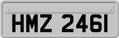HMZ2461
