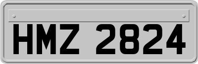 HMZ2824