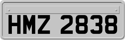 HMZ2838