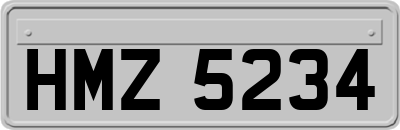 HMZ5234