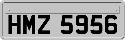 HMZ5956