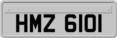 HMZ6101