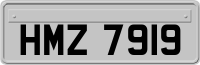 HMZ7919