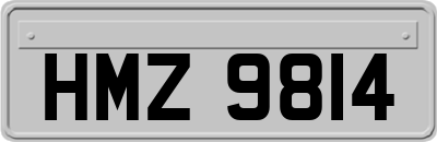 HMZ9814