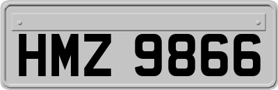HMZ9866