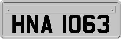 HNA1063