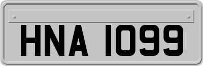 HNA1099