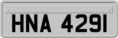 HNA4291