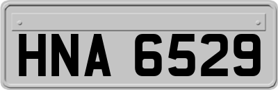 HNA6529
