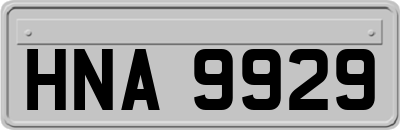 HNA9929