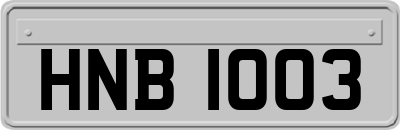 HNB1003