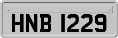 HNB1229