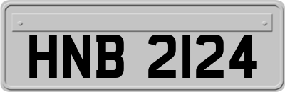 HNB2124