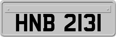 HNB2131