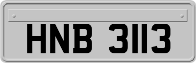 HNB3113