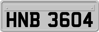 HNB3604