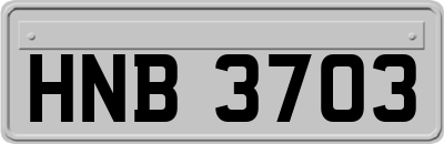 HNB3703