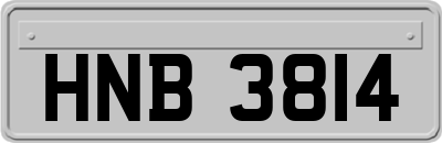 HNB3814